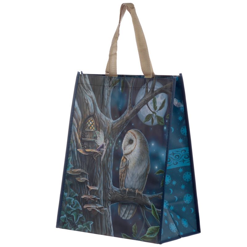 Lisa Parker Fairy Tales Owl Fairy Reusable Shopping Bag